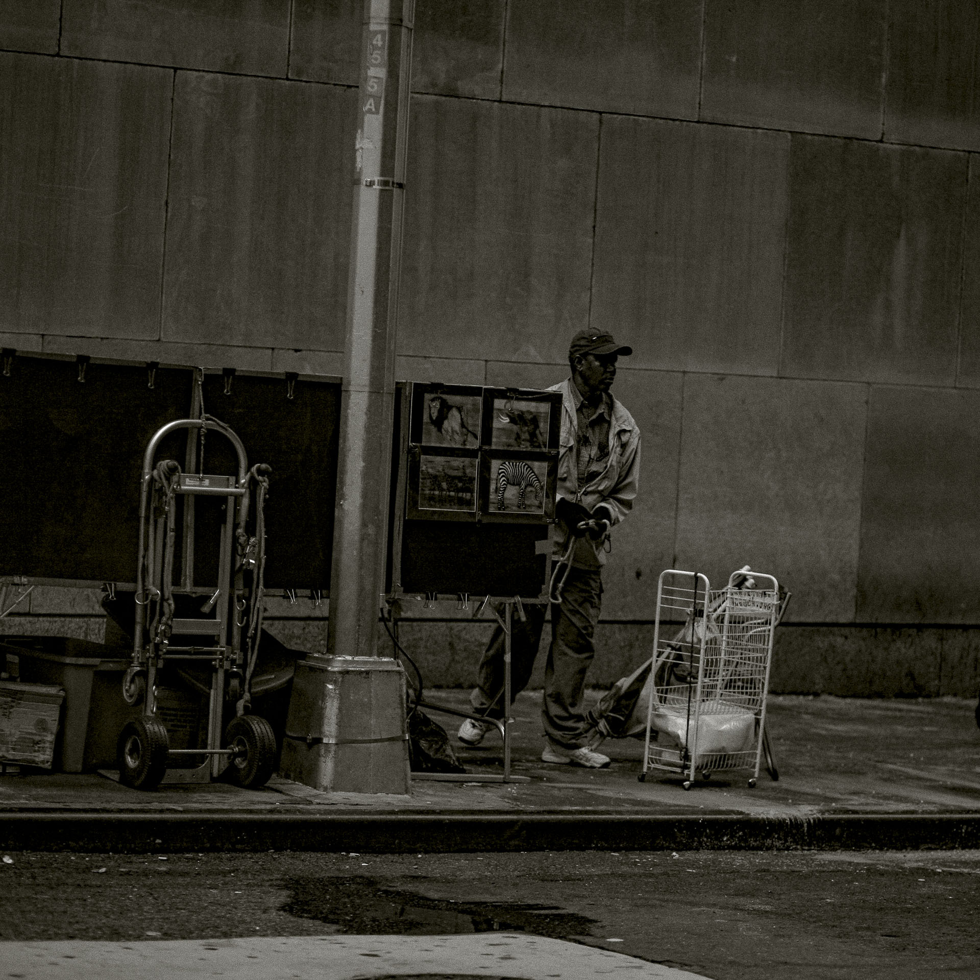NY BN 8