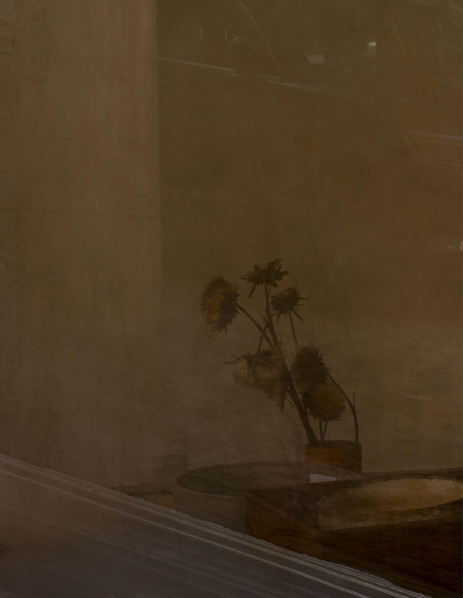 a_6