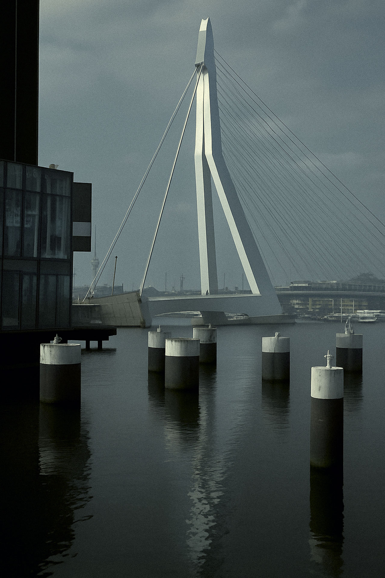 ROTTERDAM LUMIX 28_3